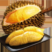 Thai Golden Pillow Durian